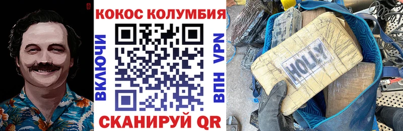 Кокаин FishScale  Купить закладки  Правдинск 