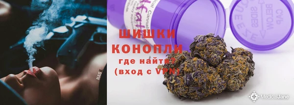 гидра Богородицк