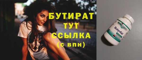 гидра Богородицк