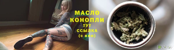 гидра Богородицк