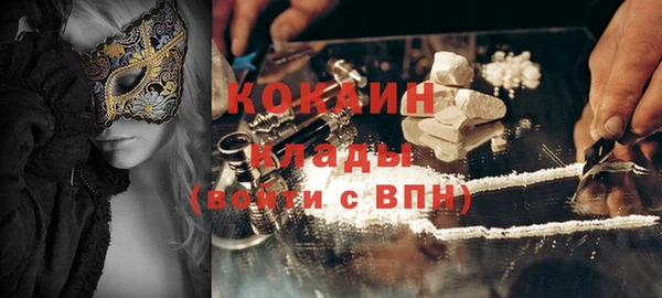 гидра Богородицк