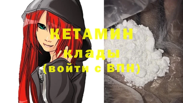 гидра Богородицк