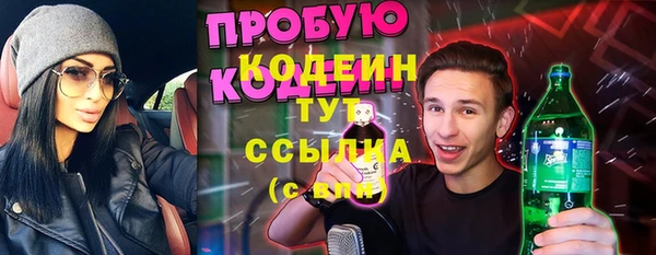 гидра Богородицк