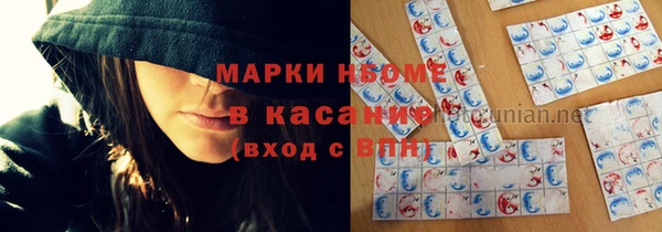 гидра Богородицк