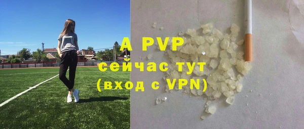 гидра Богородицк